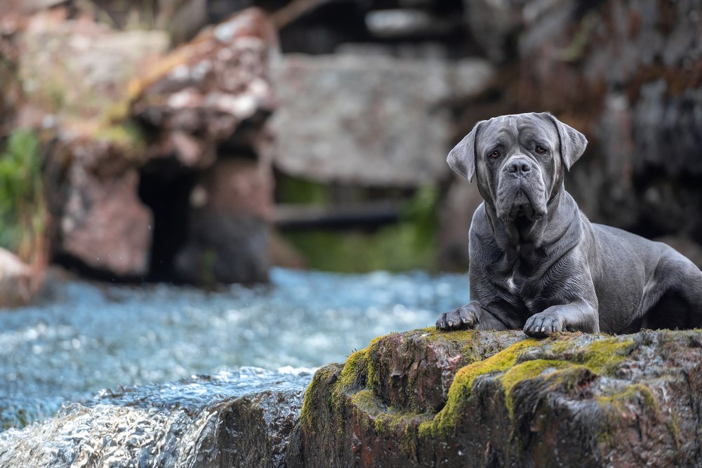 Photograph by Irina Kovaleva