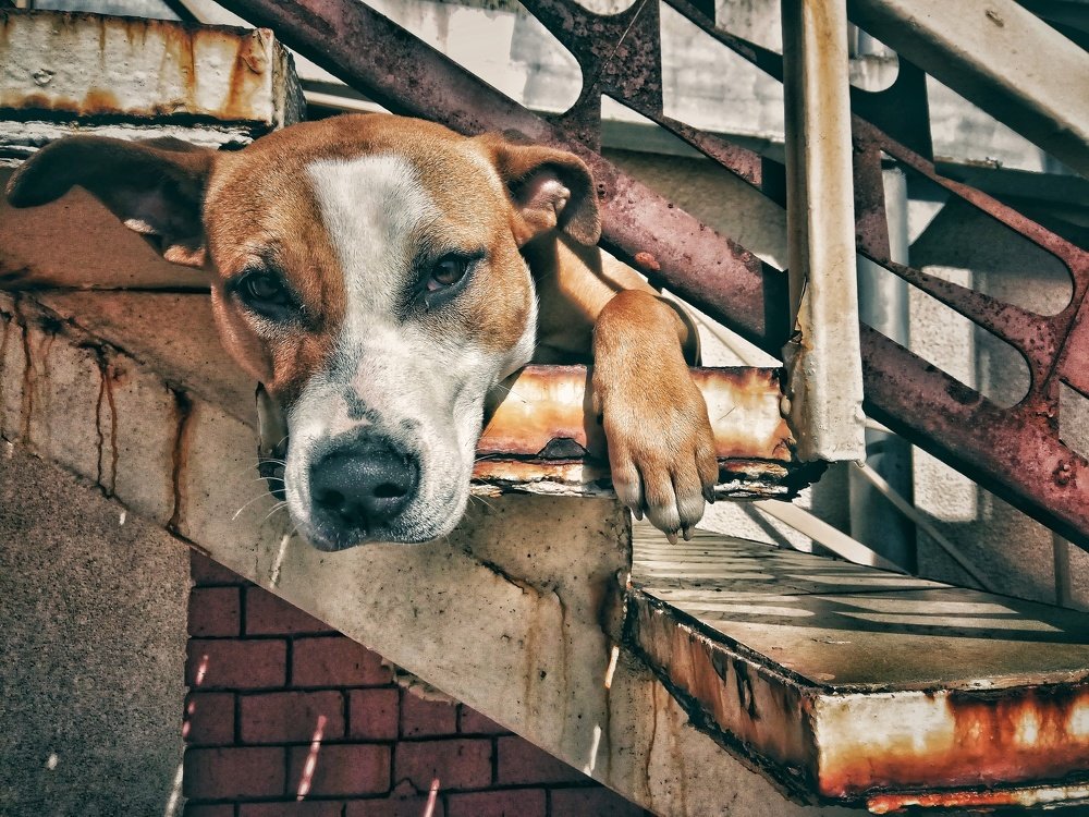 Фотография автора Dmitriy Zhuravlev