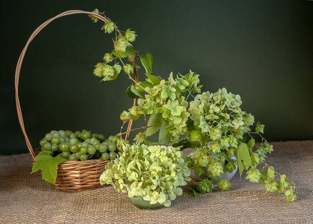 Photograph by Ольга Дядченко