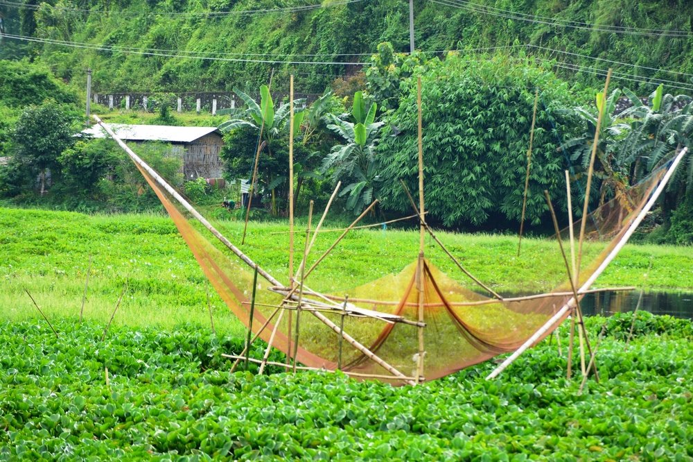 Photograph by Amol Nakve