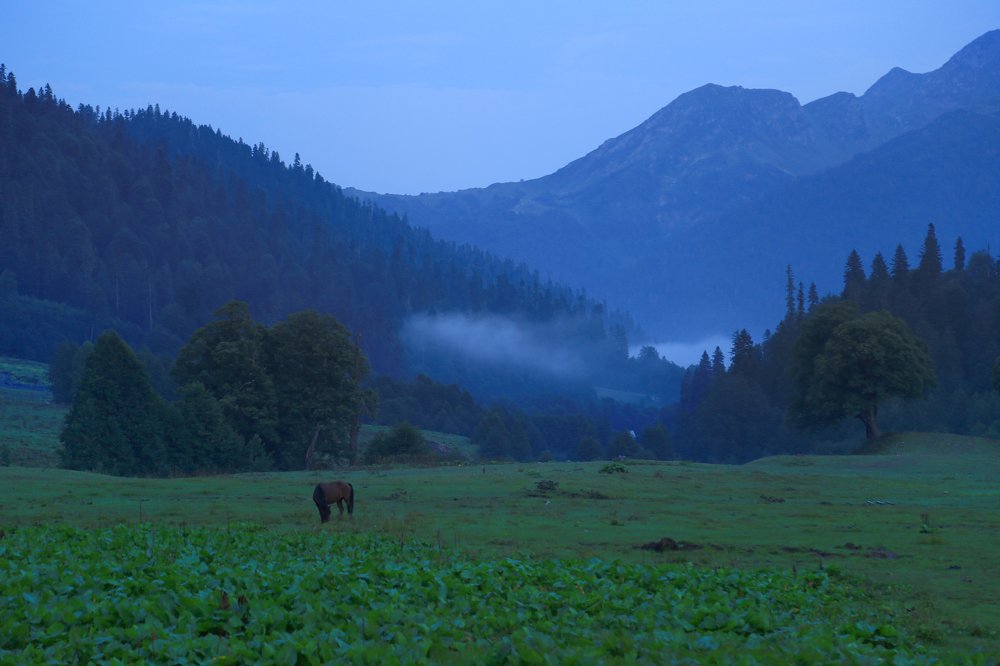 Photograph by Дарья Юсарева