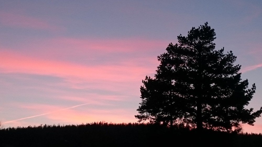 Photograph by Светлана