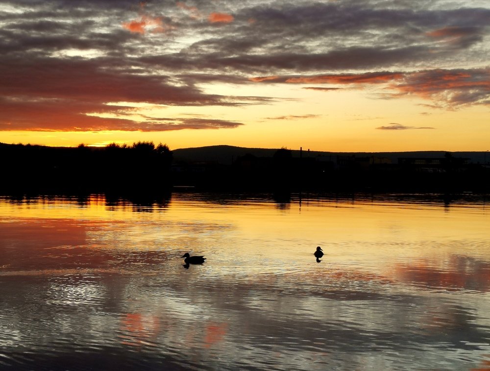 Photograph by Светлана