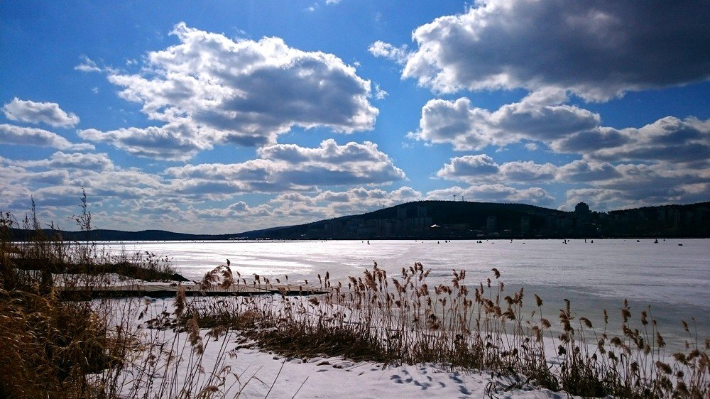 Photograph by Светлана