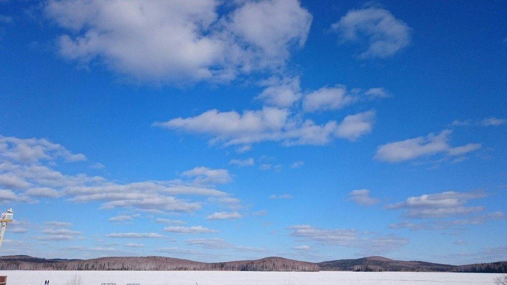 Photograph by Светлана