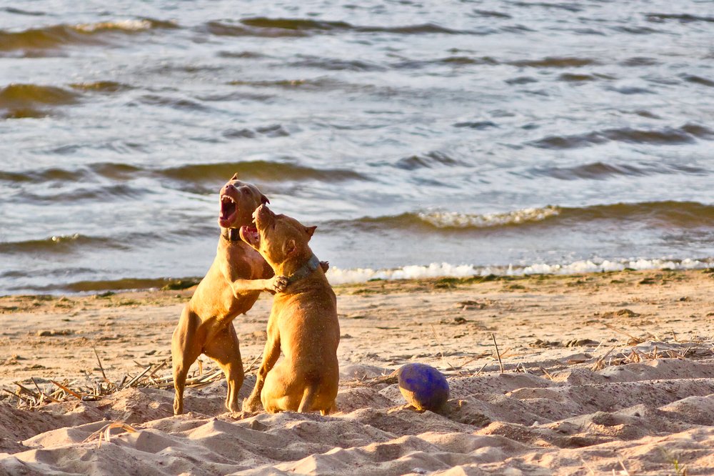 Фотография автора Ярина Яриловец