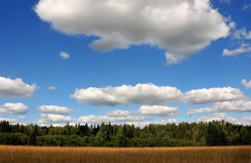 Photograph by Николай Турский