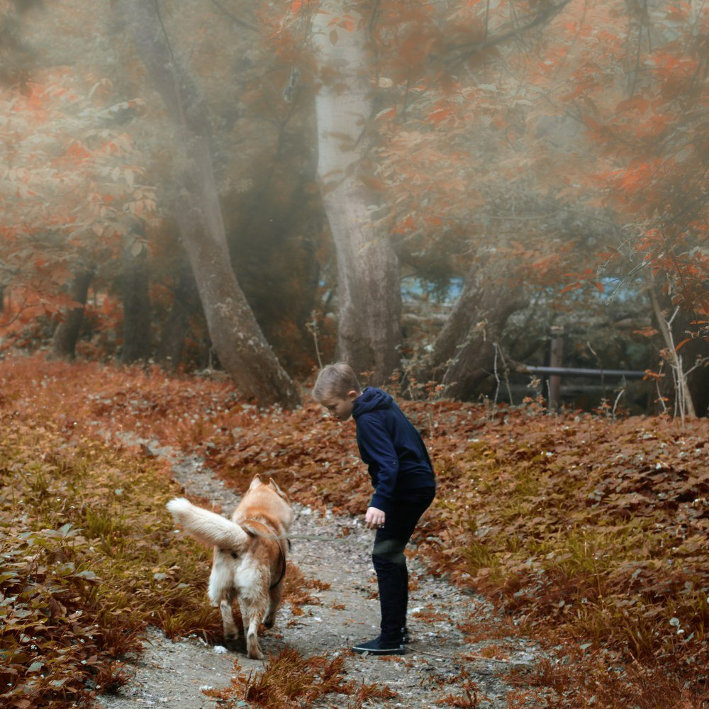 Autumn forest