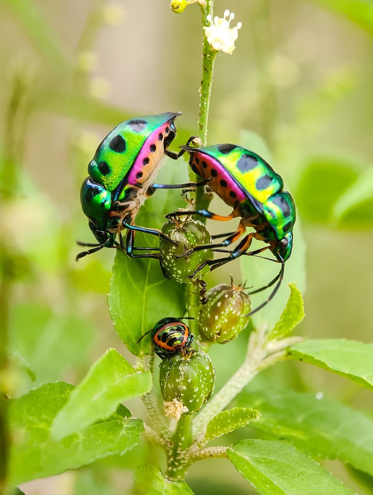 Photograph by Abhishek Manna