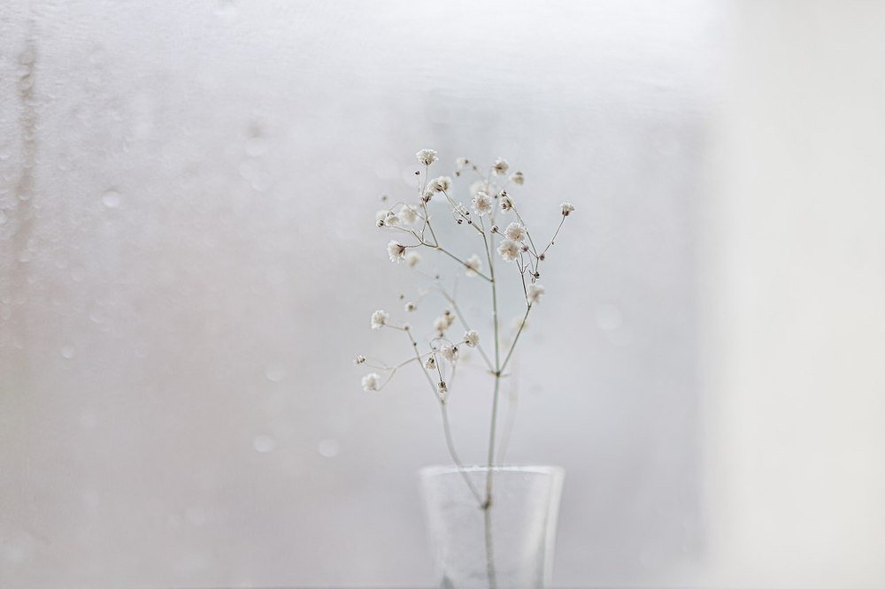 Photograph by Наталья Мищенко