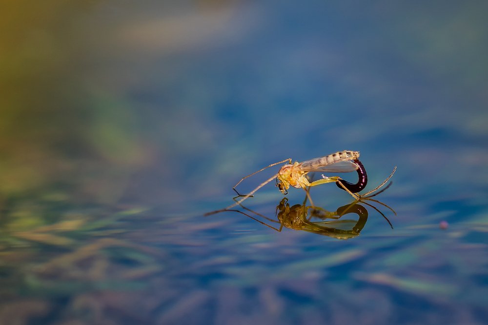 Photograph by Александр Абросимов