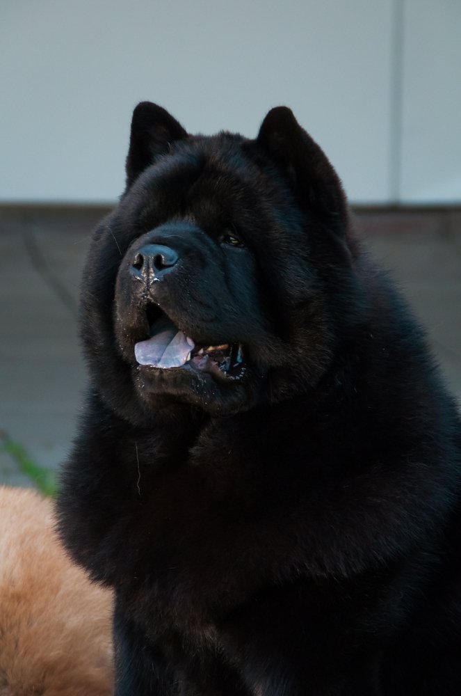 Photograph by Кадырова Анастасия