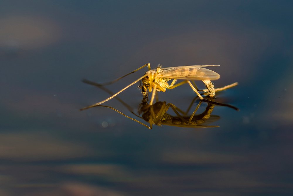 Photograph by Александр Абросимов