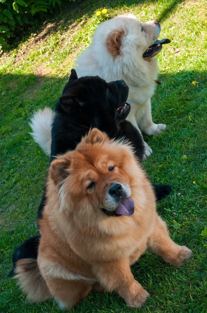 Photograph by Кадырова Анастасия