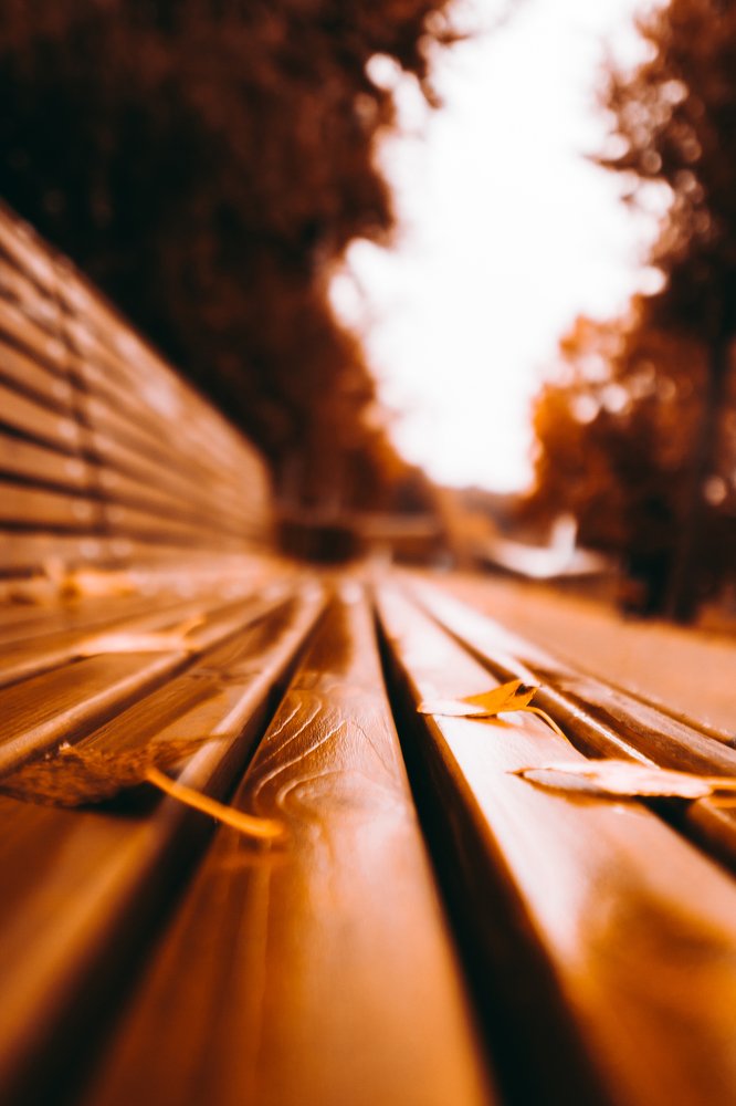 Photograph by Сергей Бойко