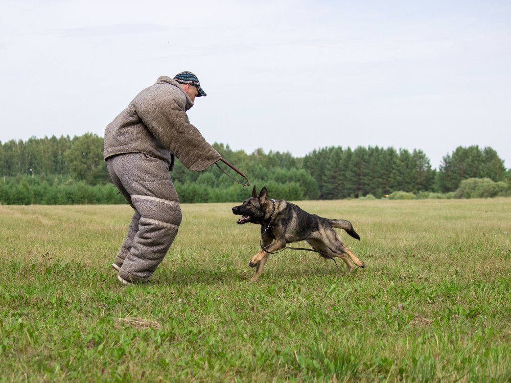 Photograph by Екатерина