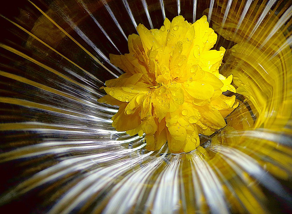 Photograph by Margo Margo