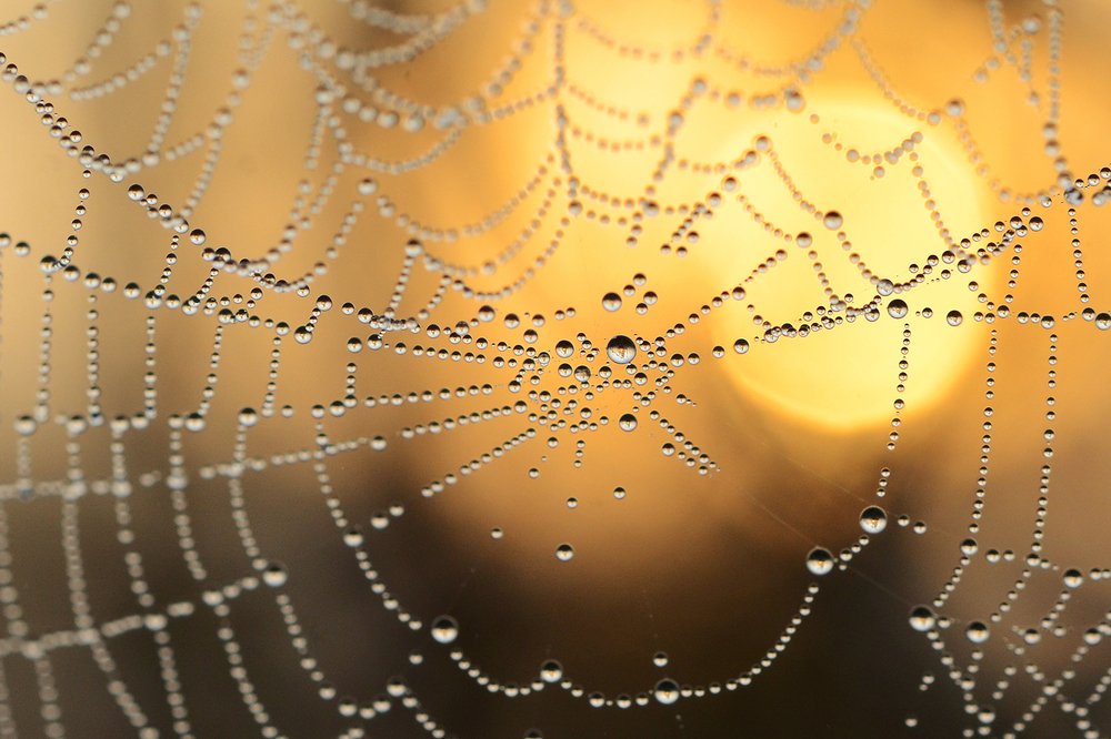 Photograph by Ромил Федоров