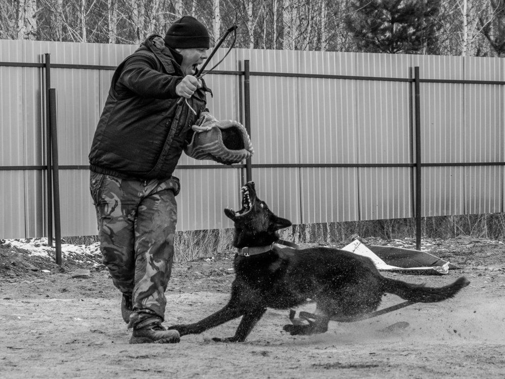 Photograph by Екатерина