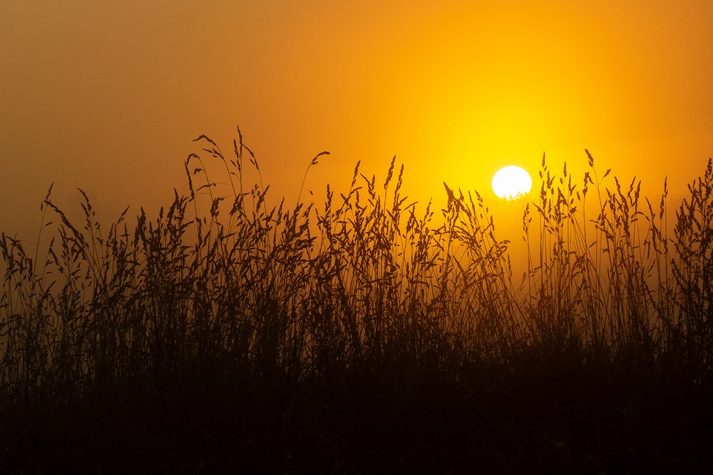 Photograph by Ромил Федоров