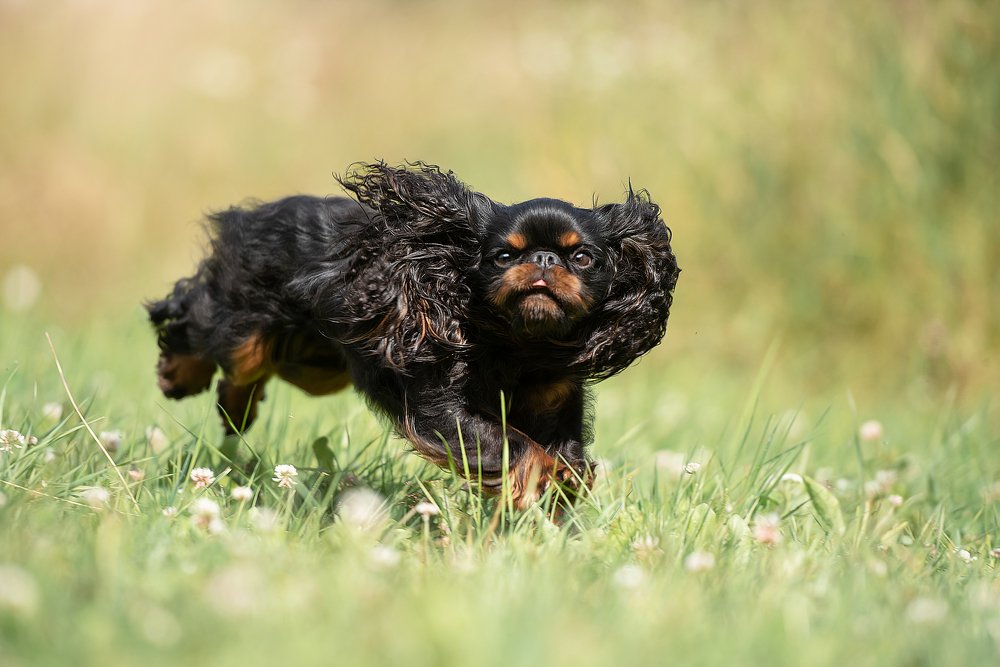 Photograph by Irina Kovaleva