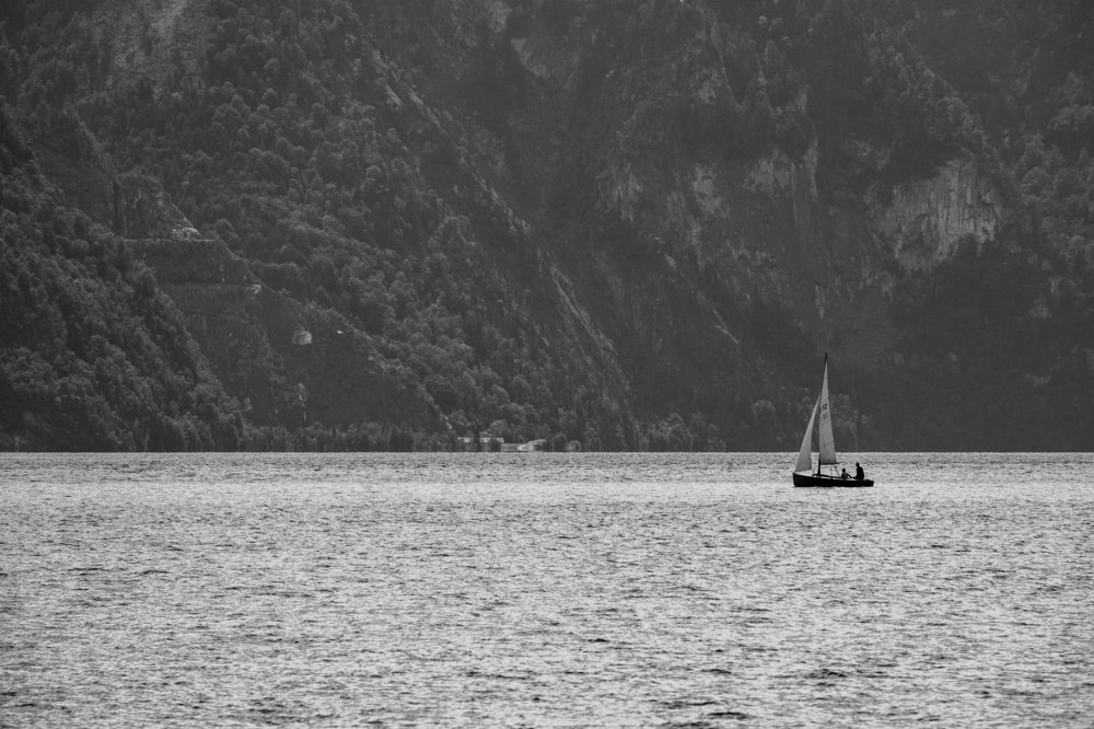 Photograph by Cristea Dana