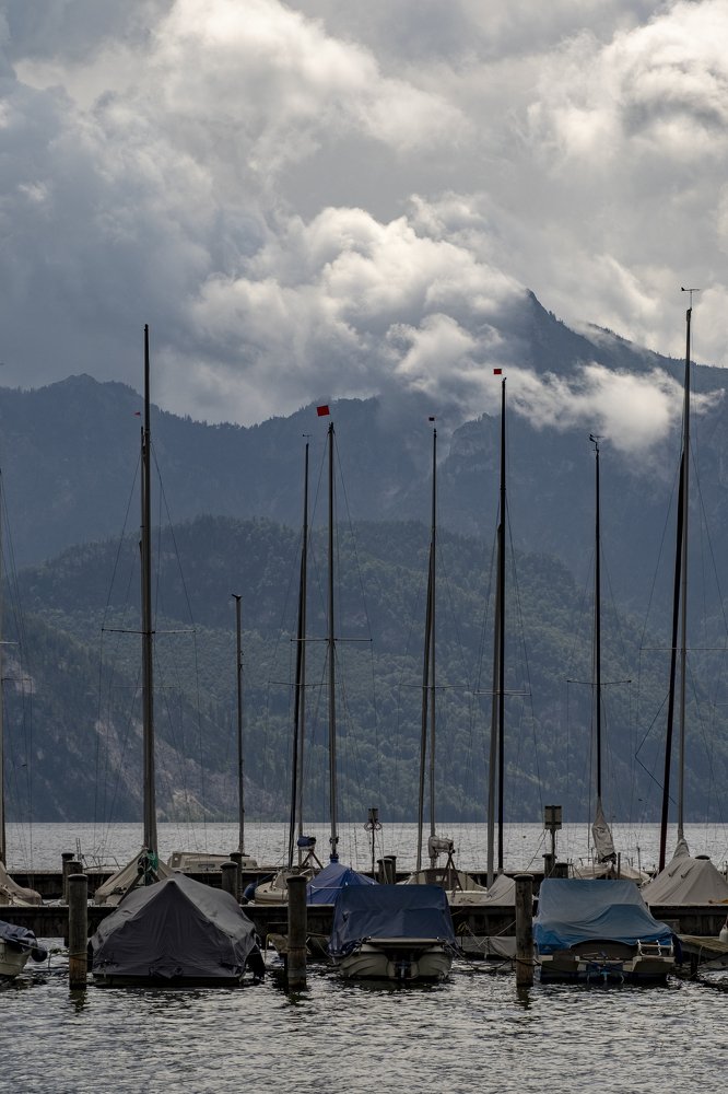 Photograph by Cristea Dana