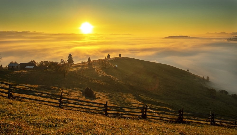 Photograph by Cristea Dana