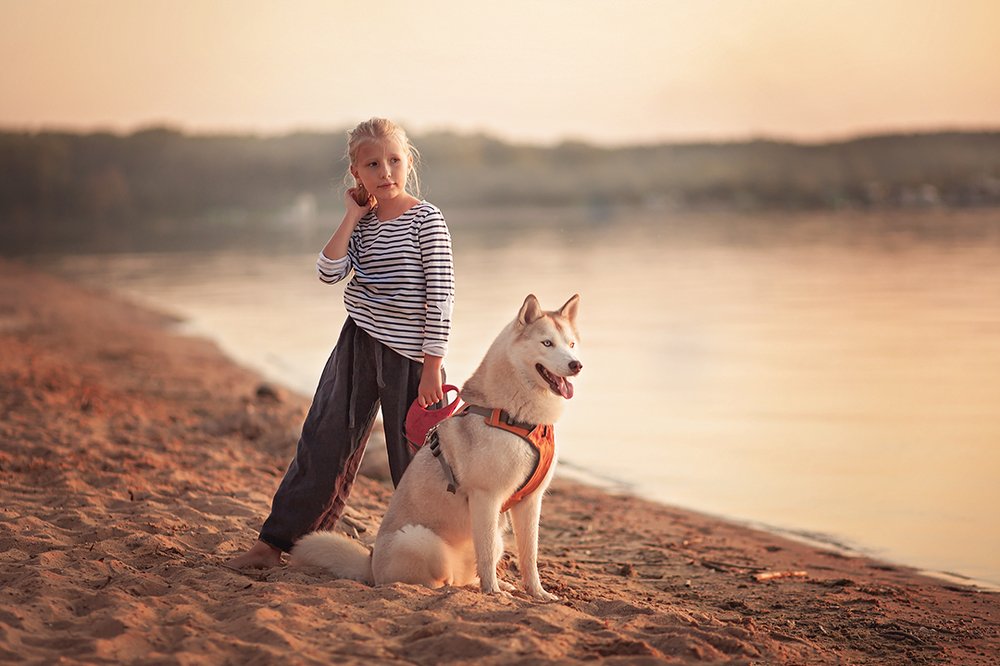 В ожидании корабля