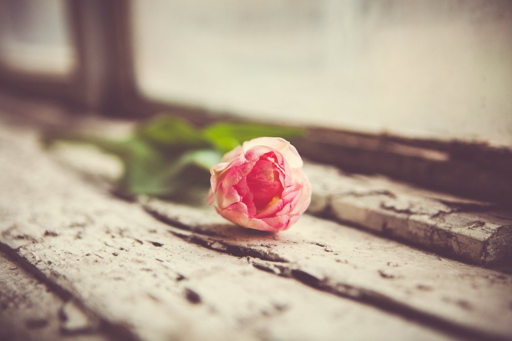 Фотография автора Юлия Капустинская