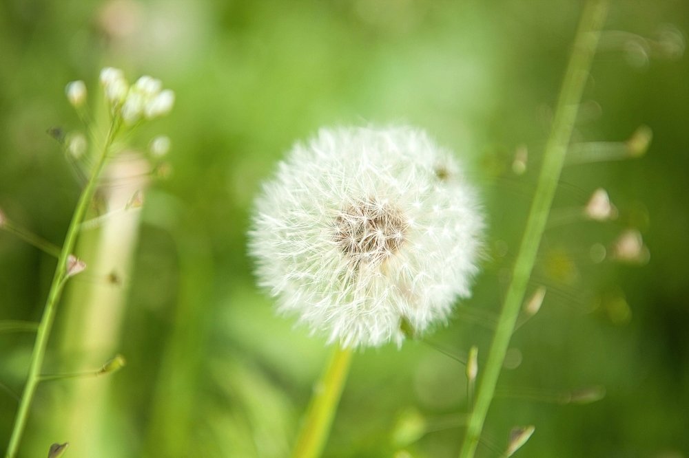 Фотография автора Юлия Капустинская