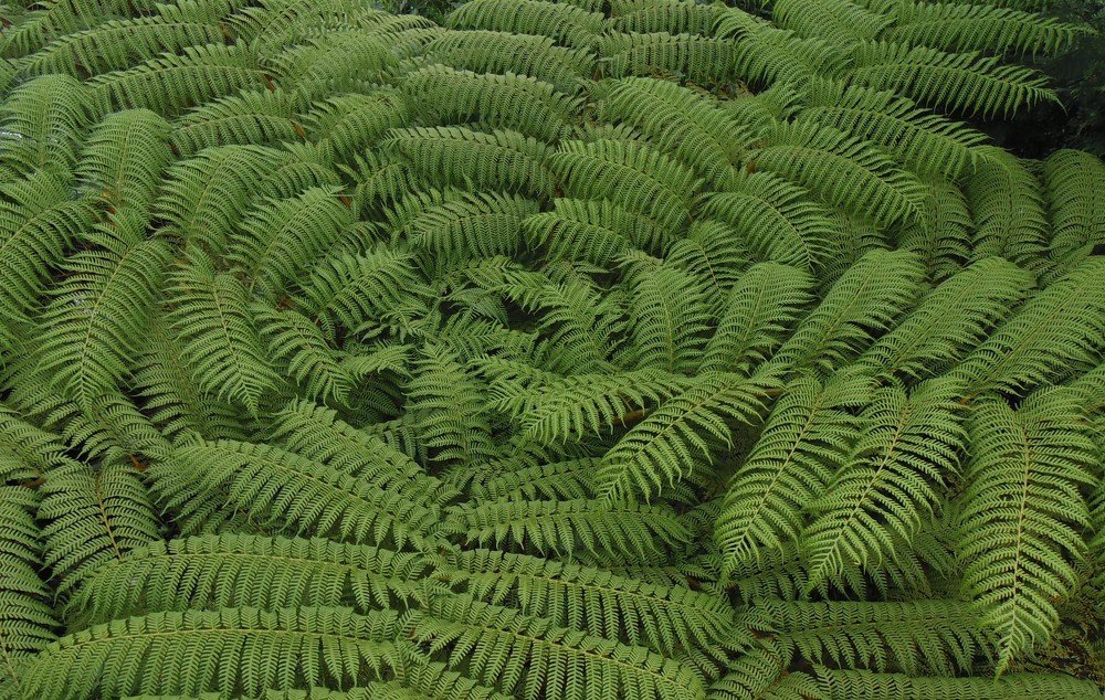 Photograph by Bertrand HOAREAU