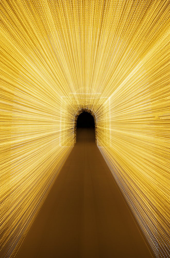 Photograph by Farshad Yazdankhah