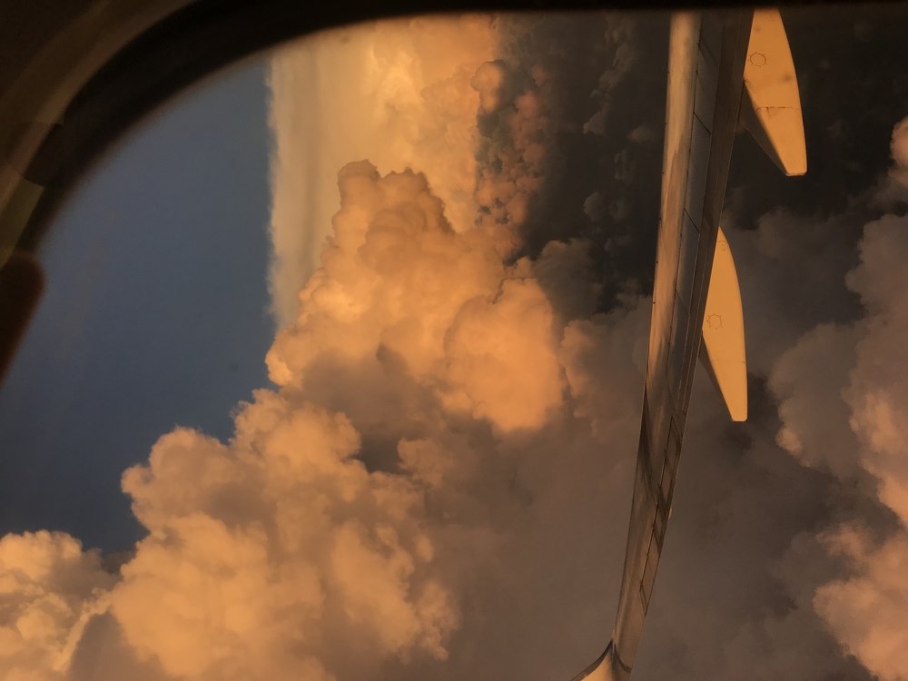 Photograph by Yuliia