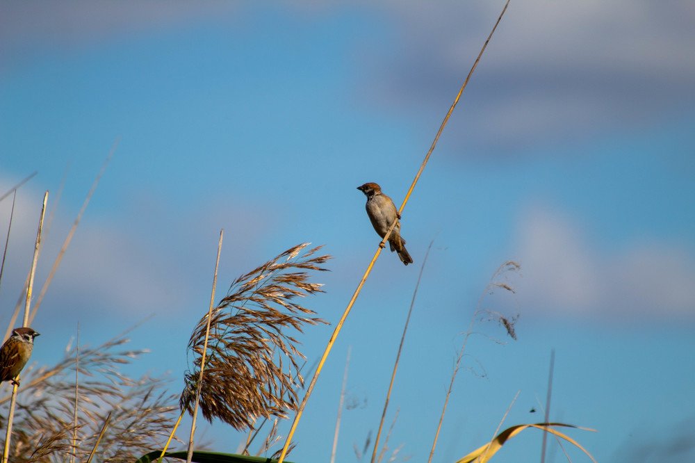 Photograph by Мари Полищук