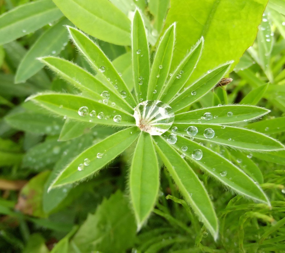 Фотография автора Алексей Усов