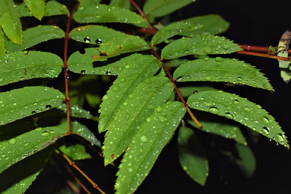 Фотография автора Алексей Усов