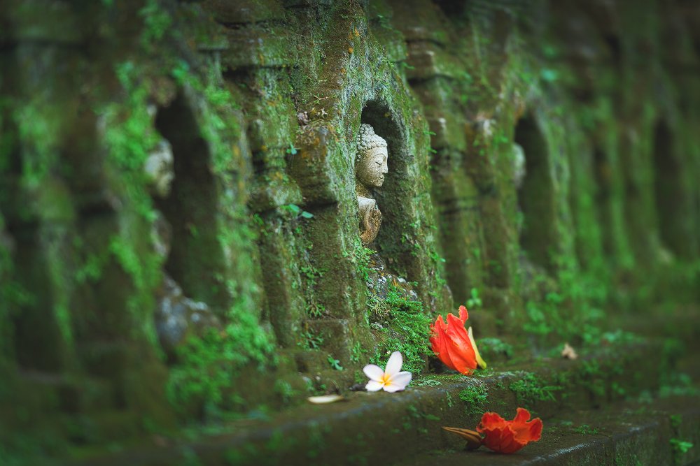 Photograph by Oleg Feofanov