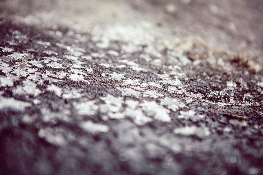 Фотография автора Юлия Капустинская