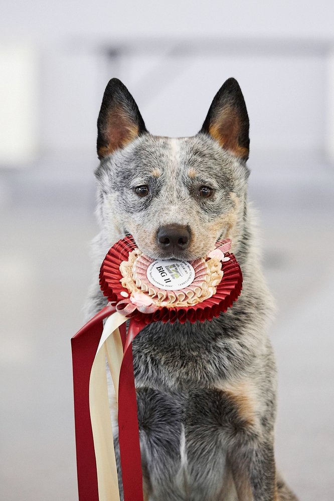 Photograph by Лана Полякова