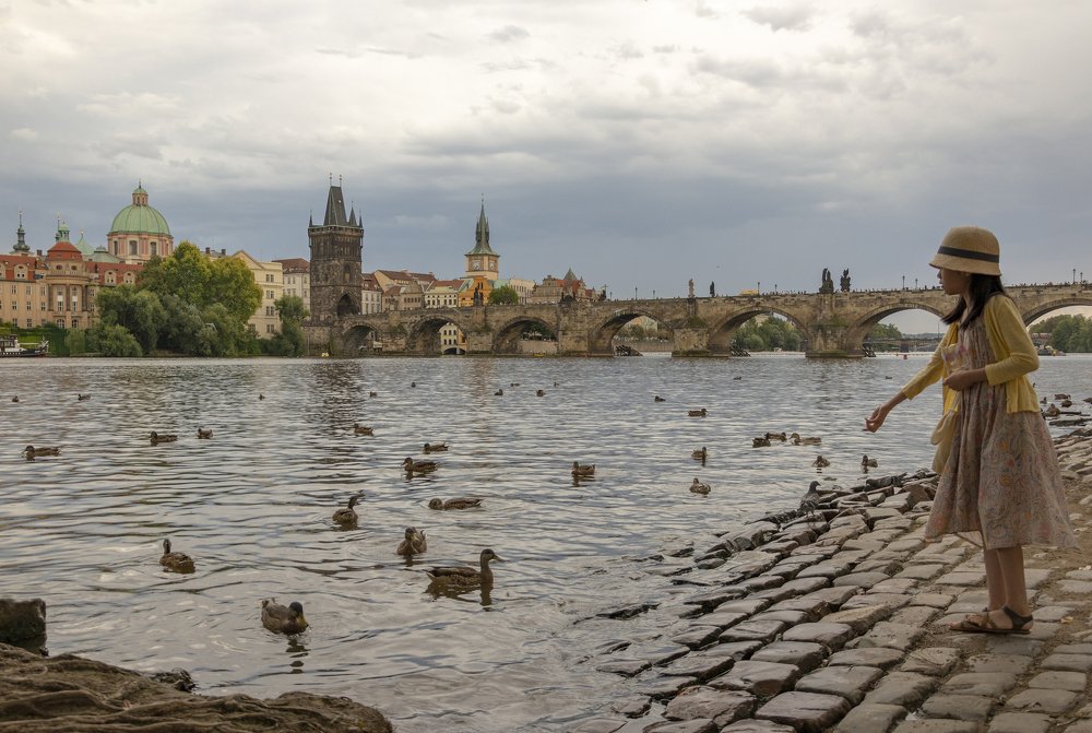 Утиный ужин.