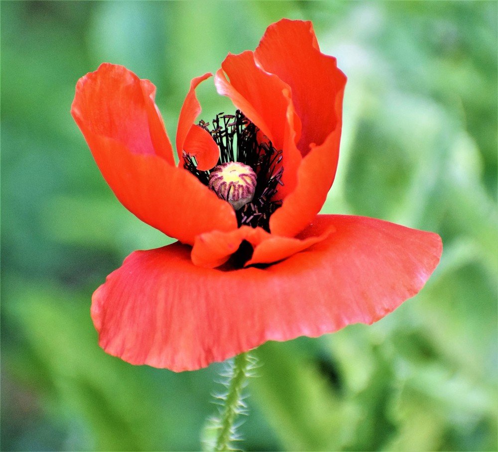 Photograph by Rajeev Sinha