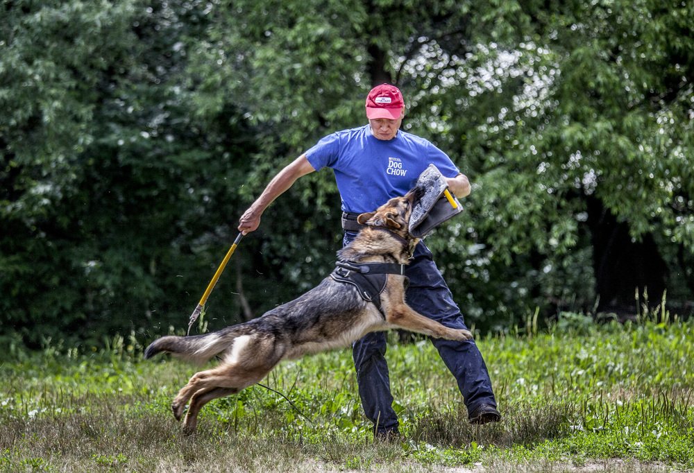 Надежная охрана..