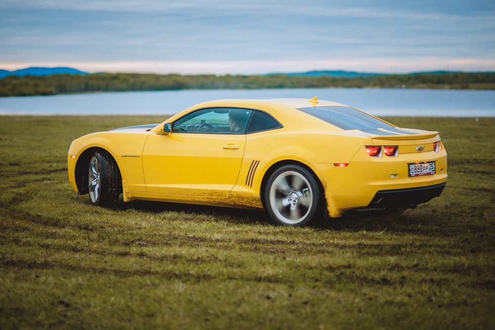 Фотография автора Диана Липкина