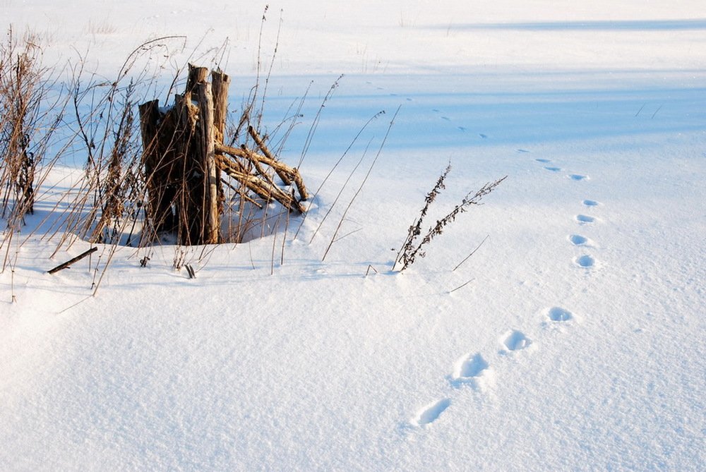 Photograph by Николай Турский