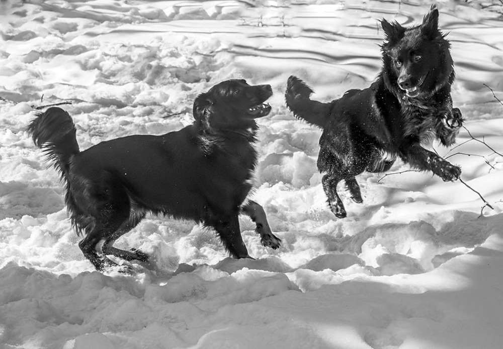 Photograph by Елена Белинская