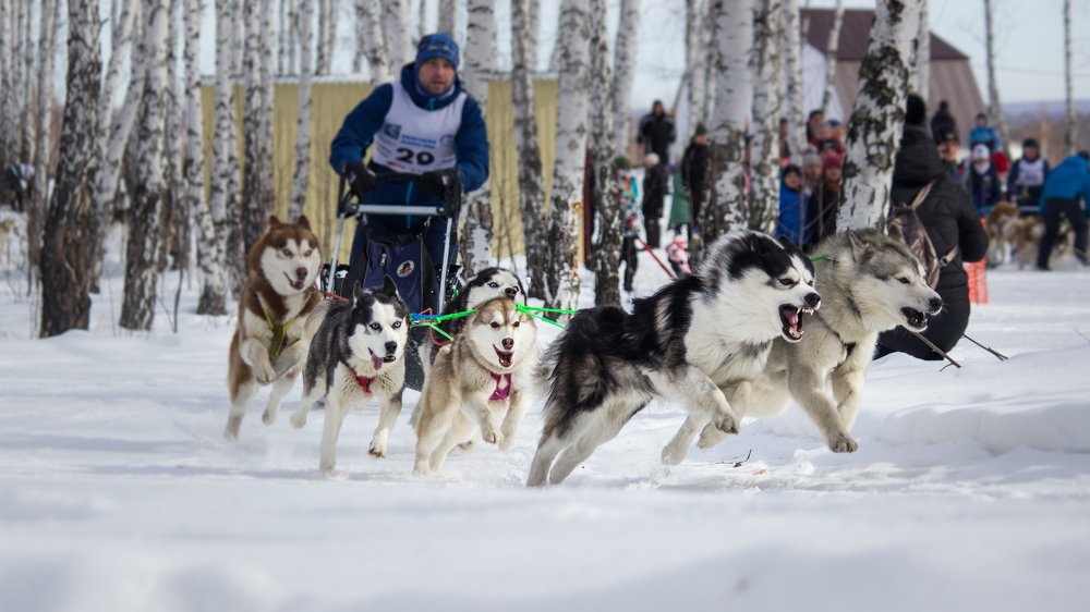 Photograph by Екатерина