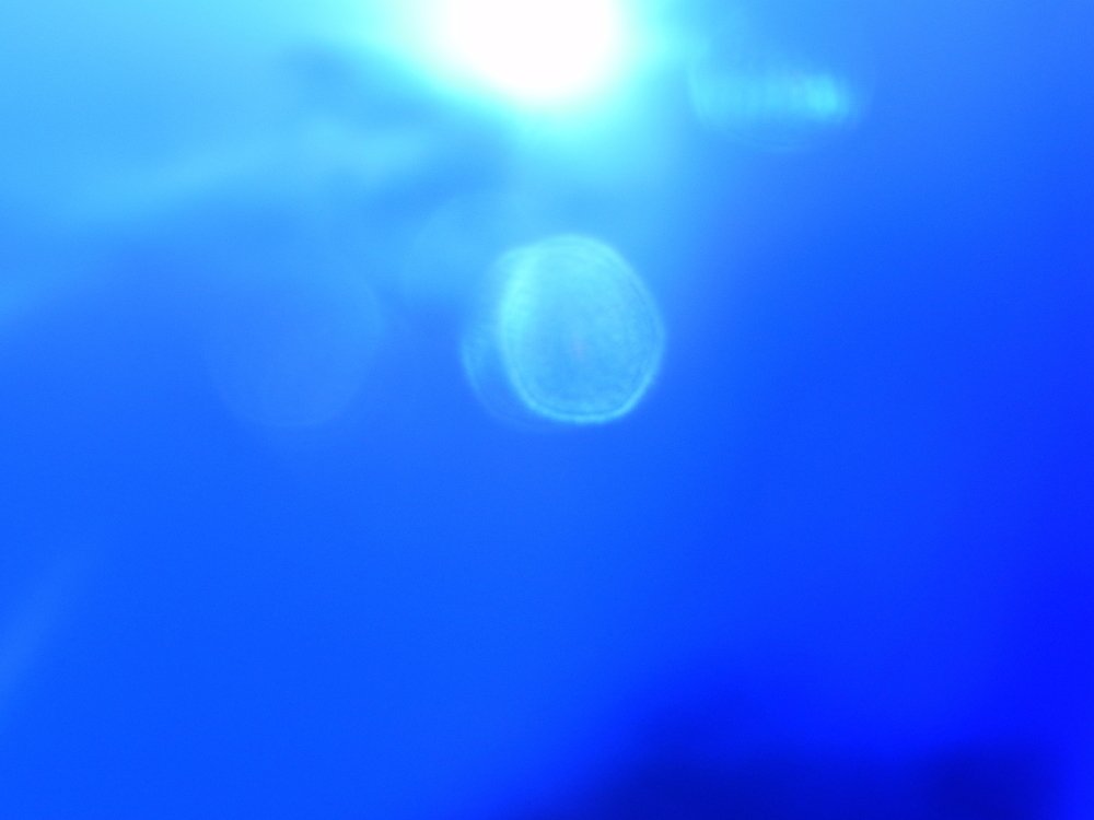 Фотография автора Юлия Капустинская