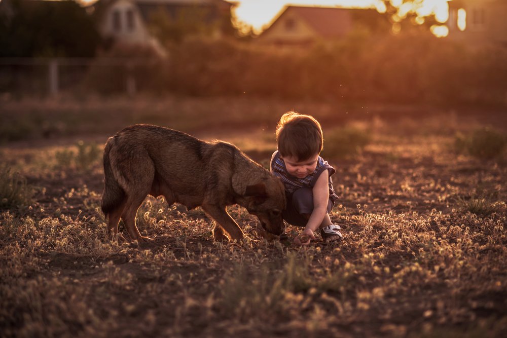 Photograph by Анна Ромашкина