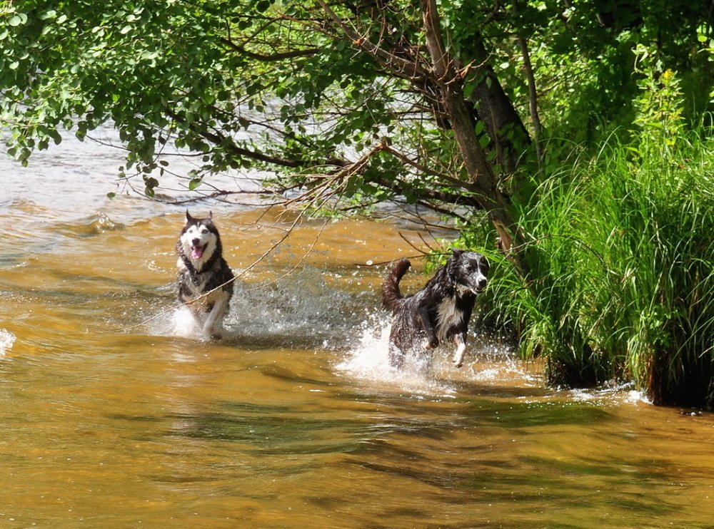 Photograph by Николай Турский